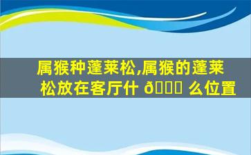 属猴种蓬莱松,属猴的蓬莱松放在客厅什 🐘 么位置